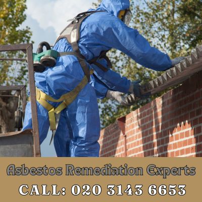 Asbestos Remediation Experts Thorpe