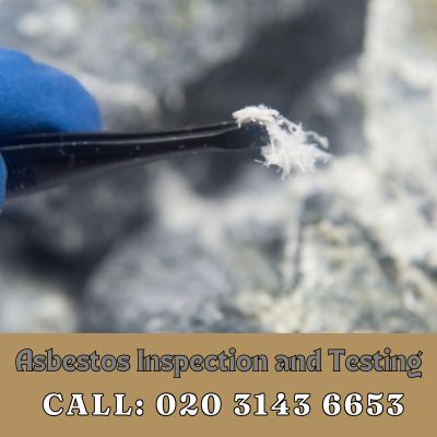 Comprehensive Asbestos Inspection and Testing Services in Thorpe